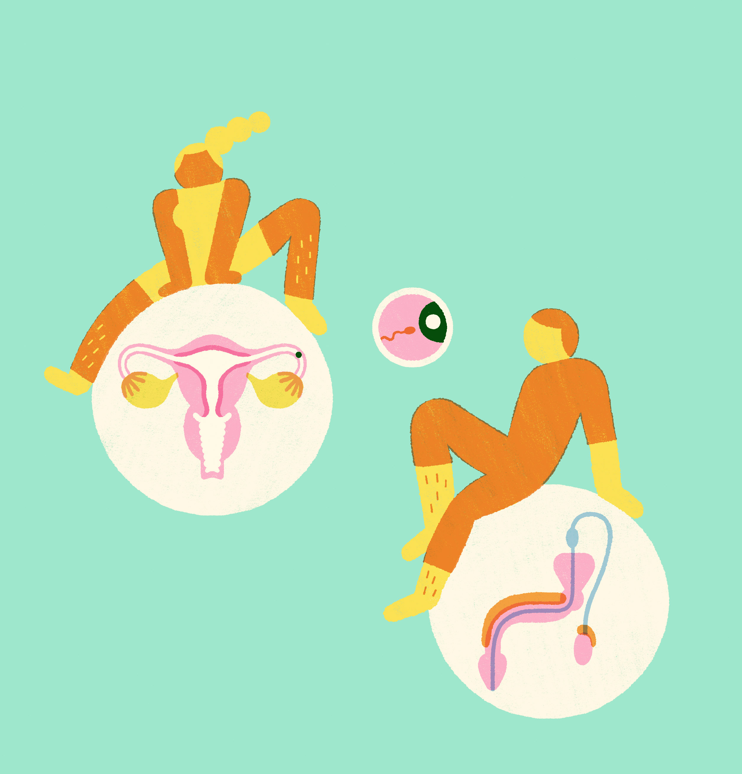 le corps humain boost nathan